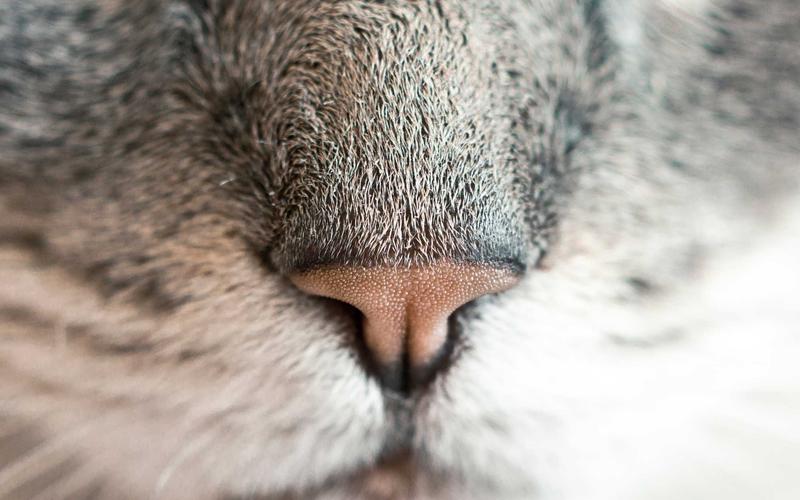 Deep Tissue Massage — What It Really Is and Why Your Body Needs It